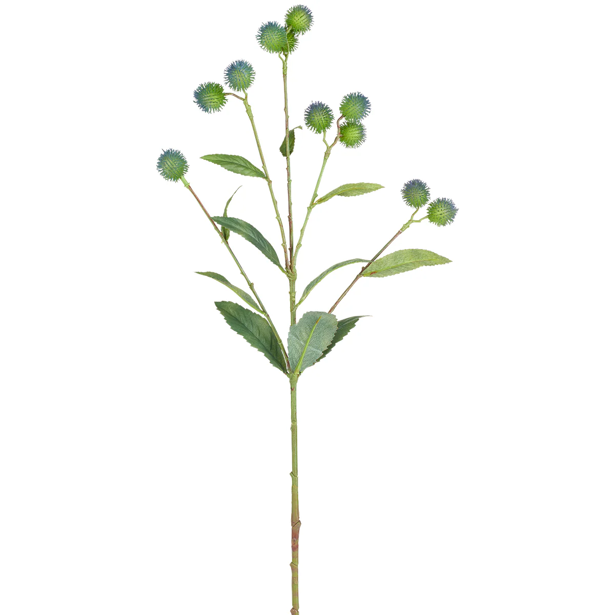 Miniature 1
