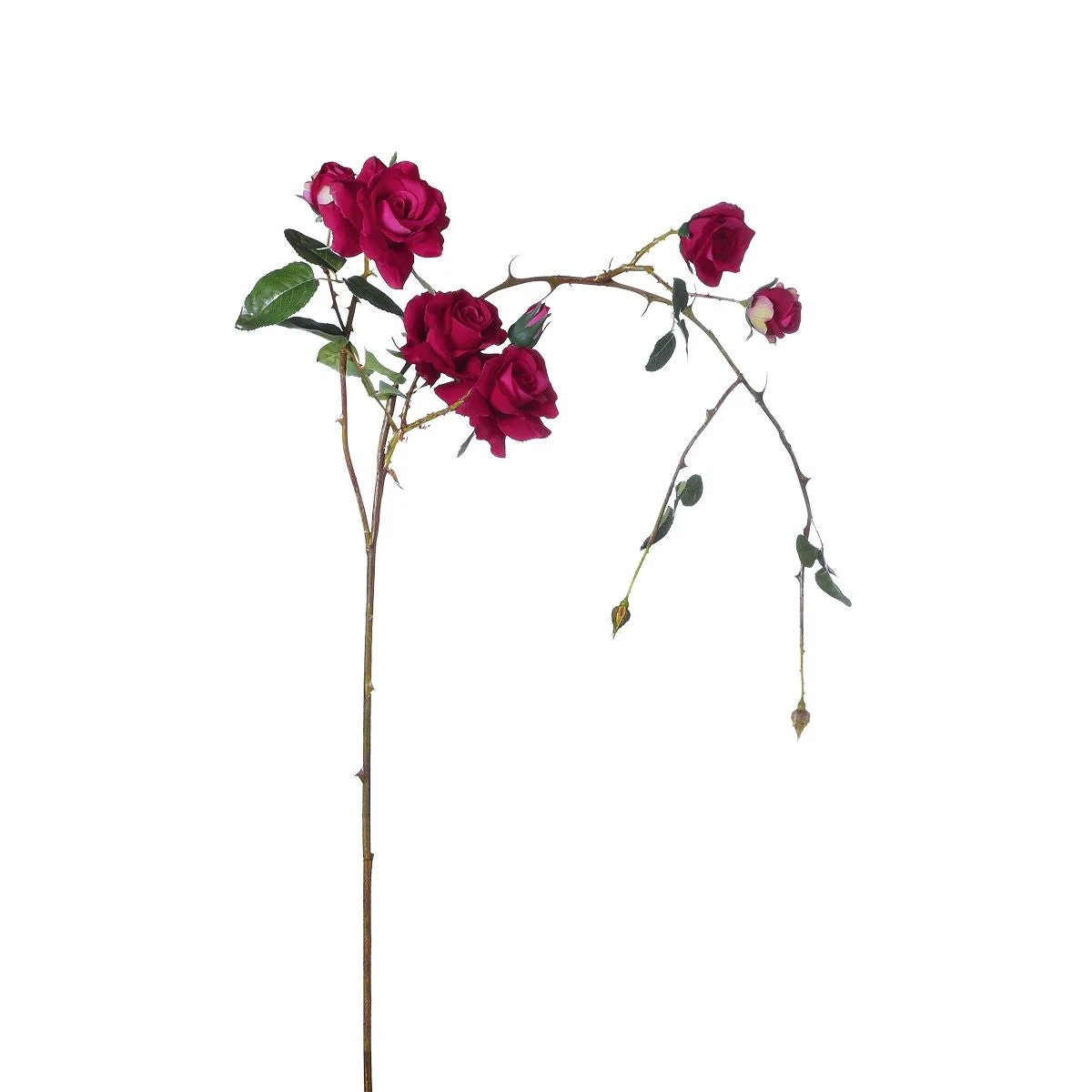 Miniature 1
