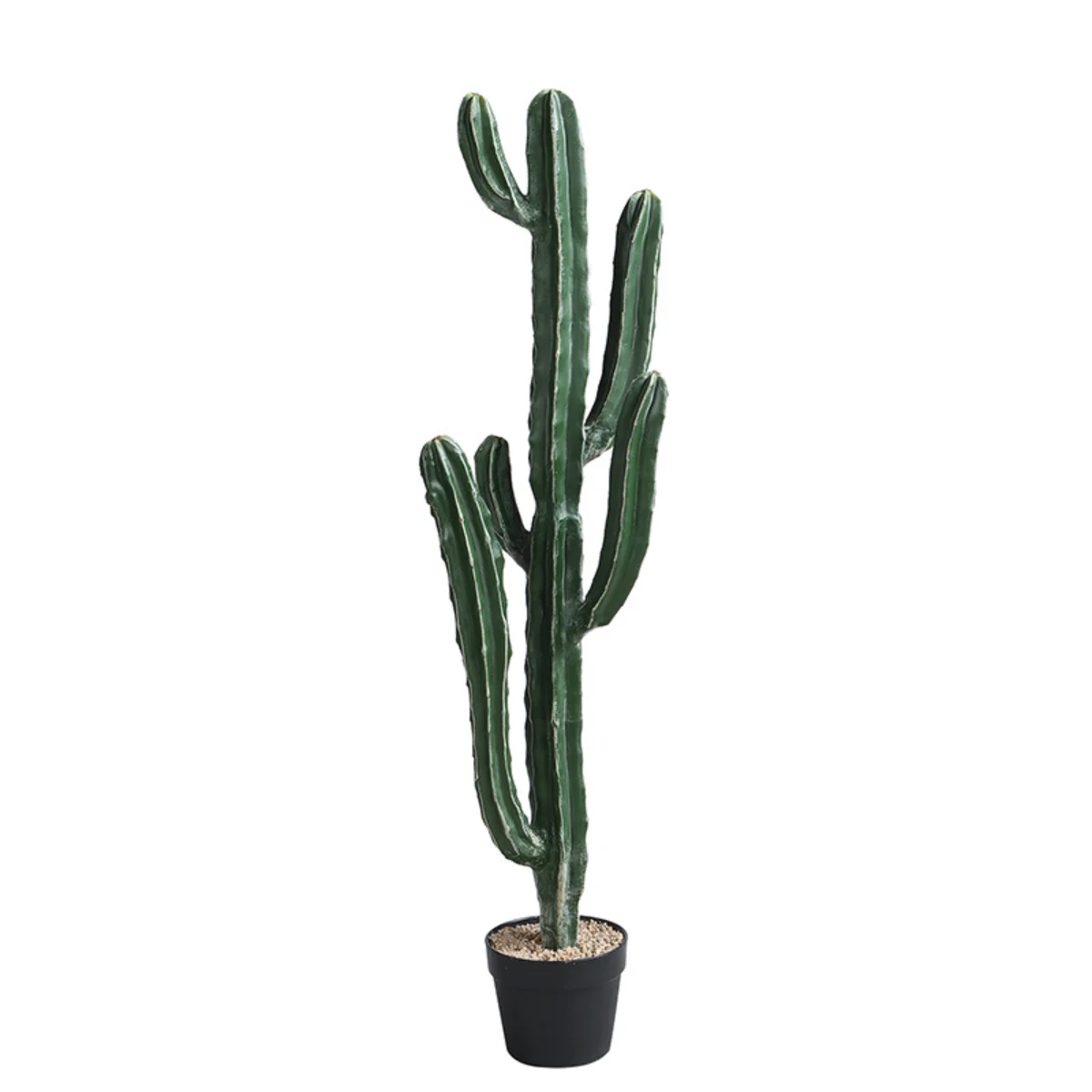 Nouveautés Arbres