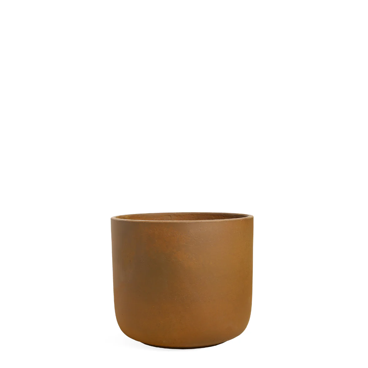 Promos Fleurs et Vases