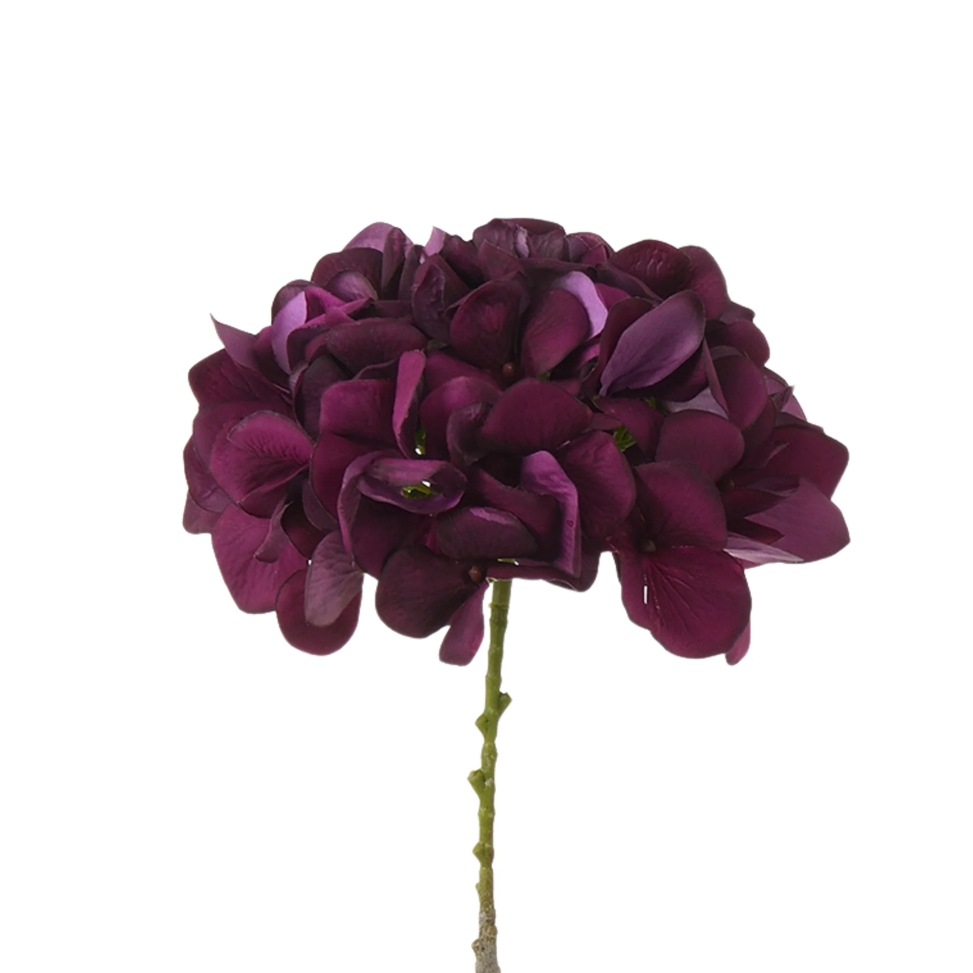 Image du produit 18