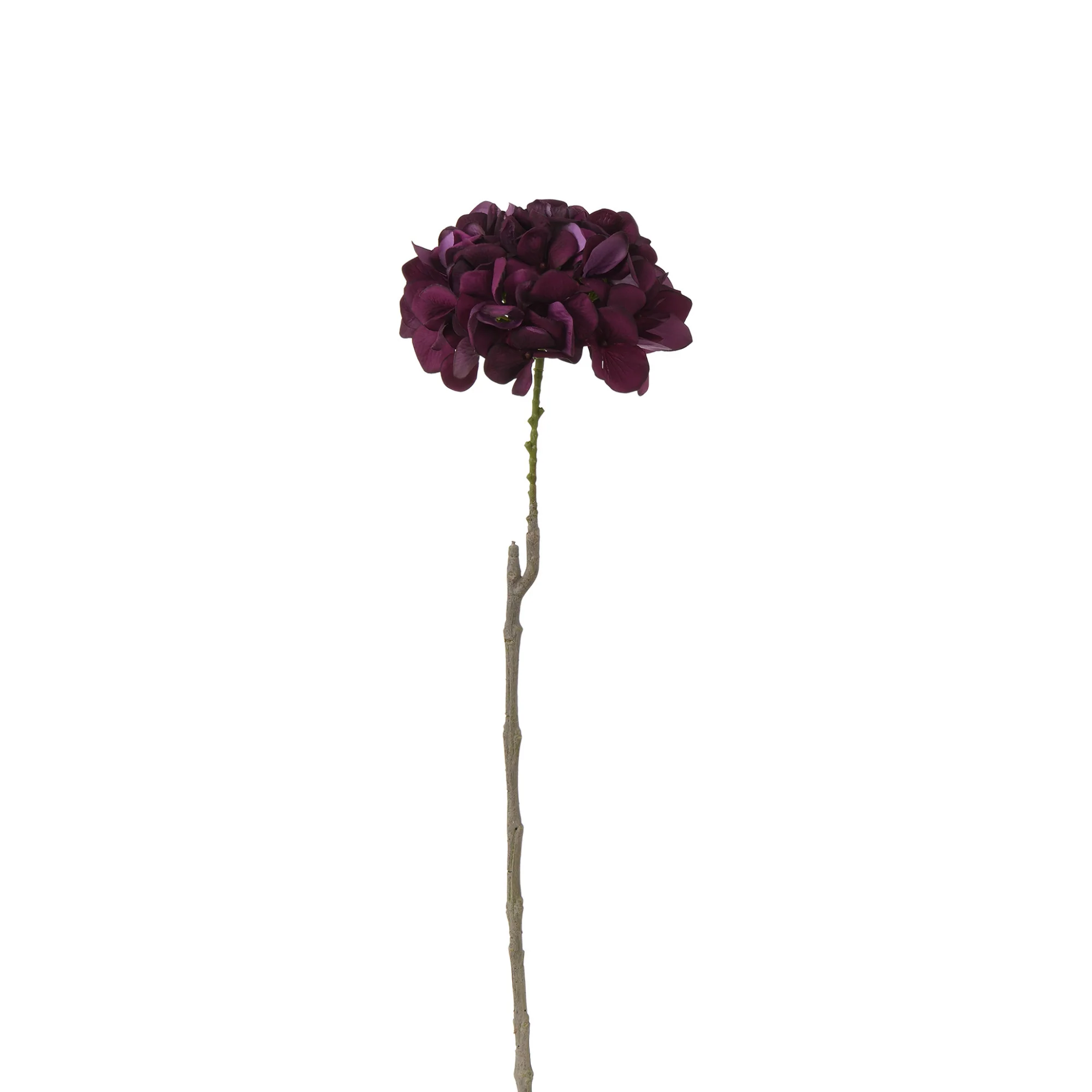 Image du produit 21
