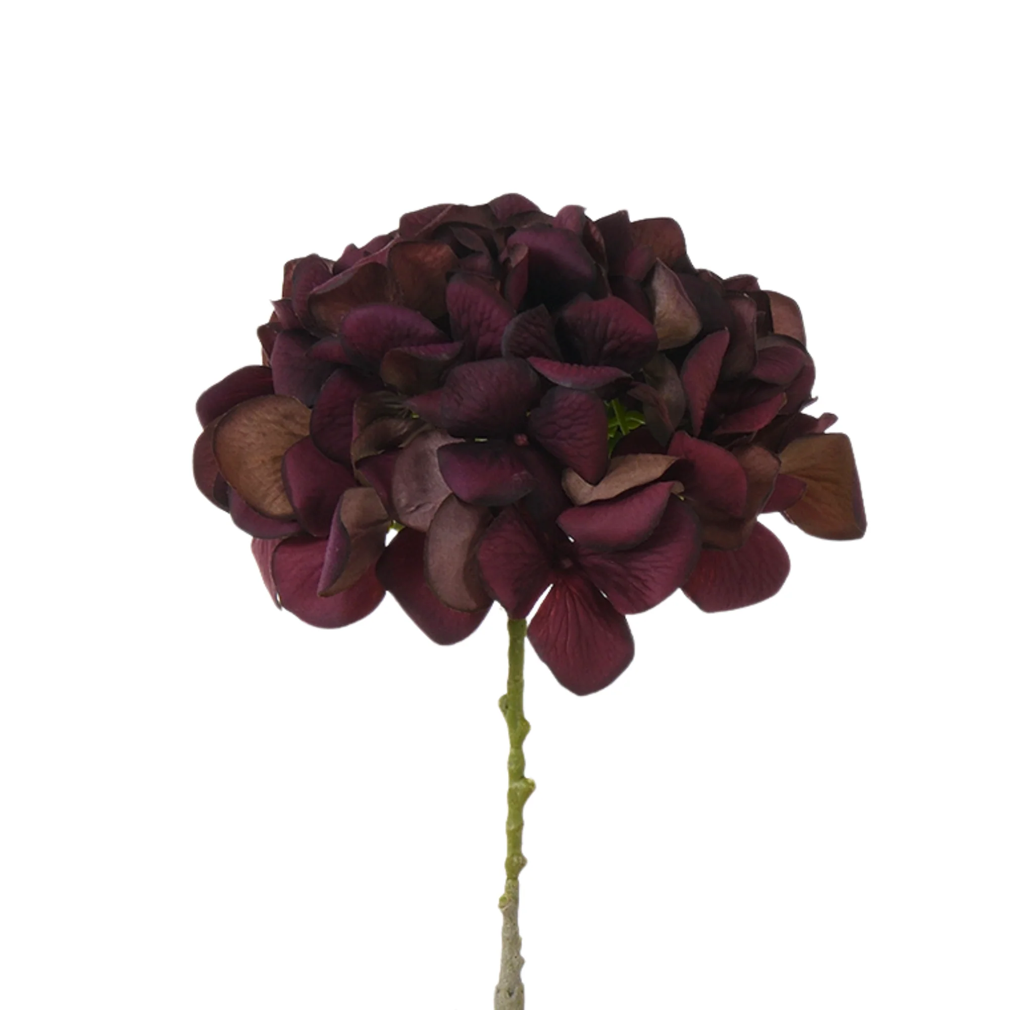 Image du produit 22