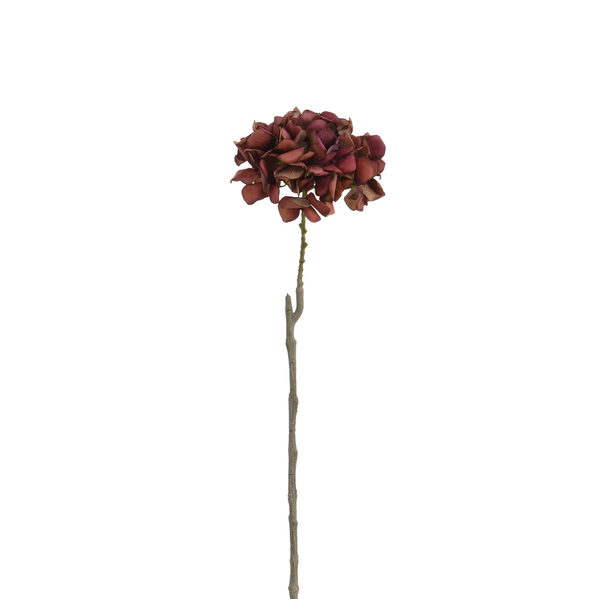 Image du produit 29