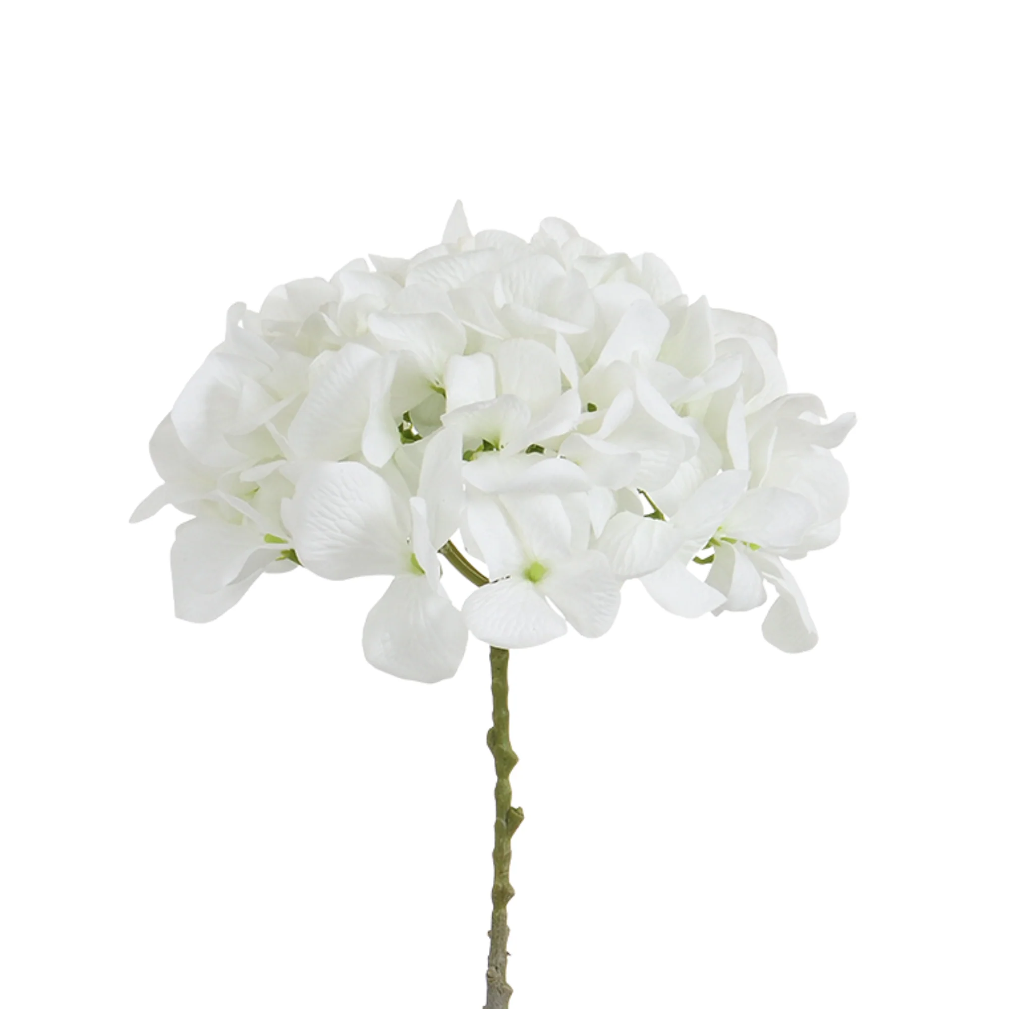 Image du produit 30