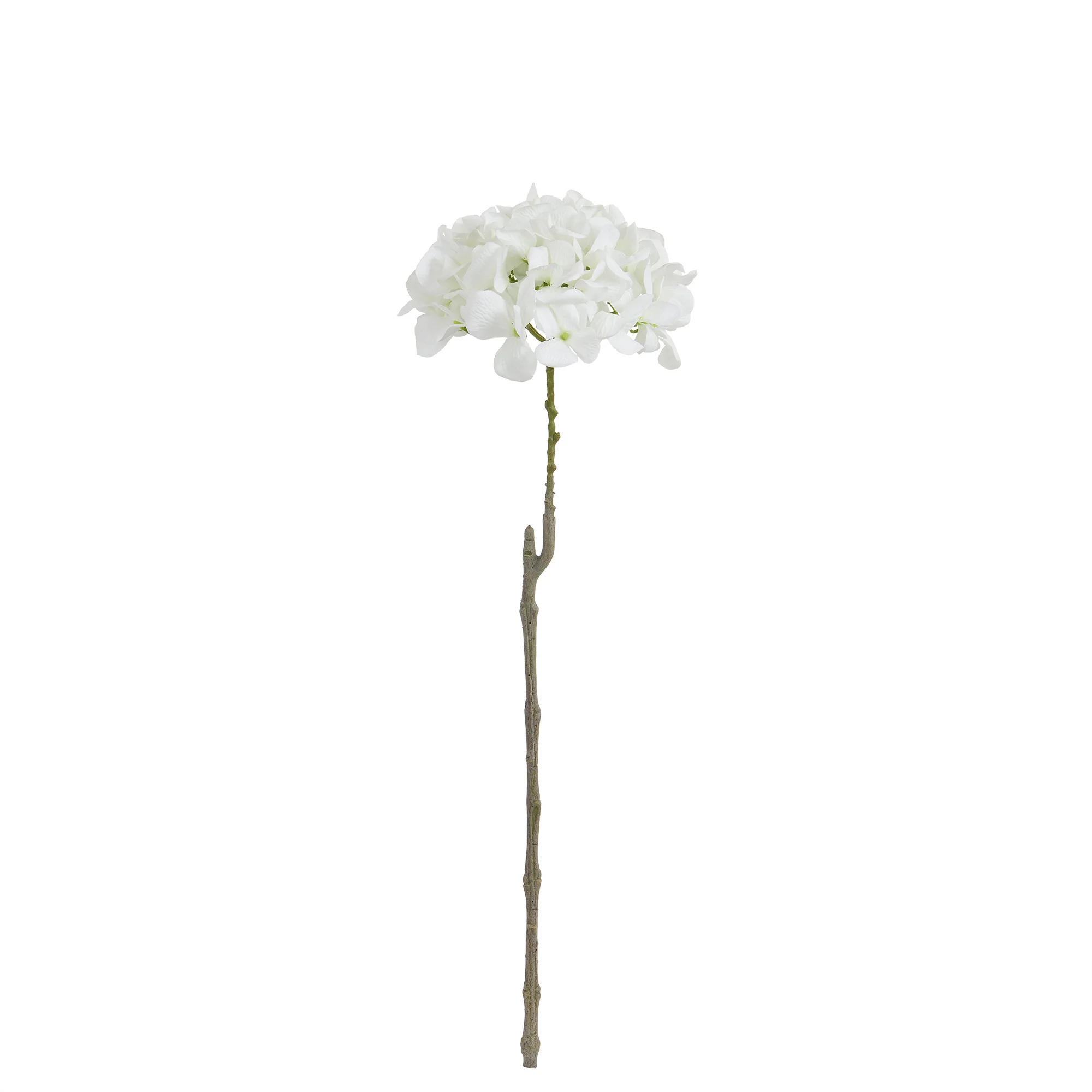 Image du produit 34