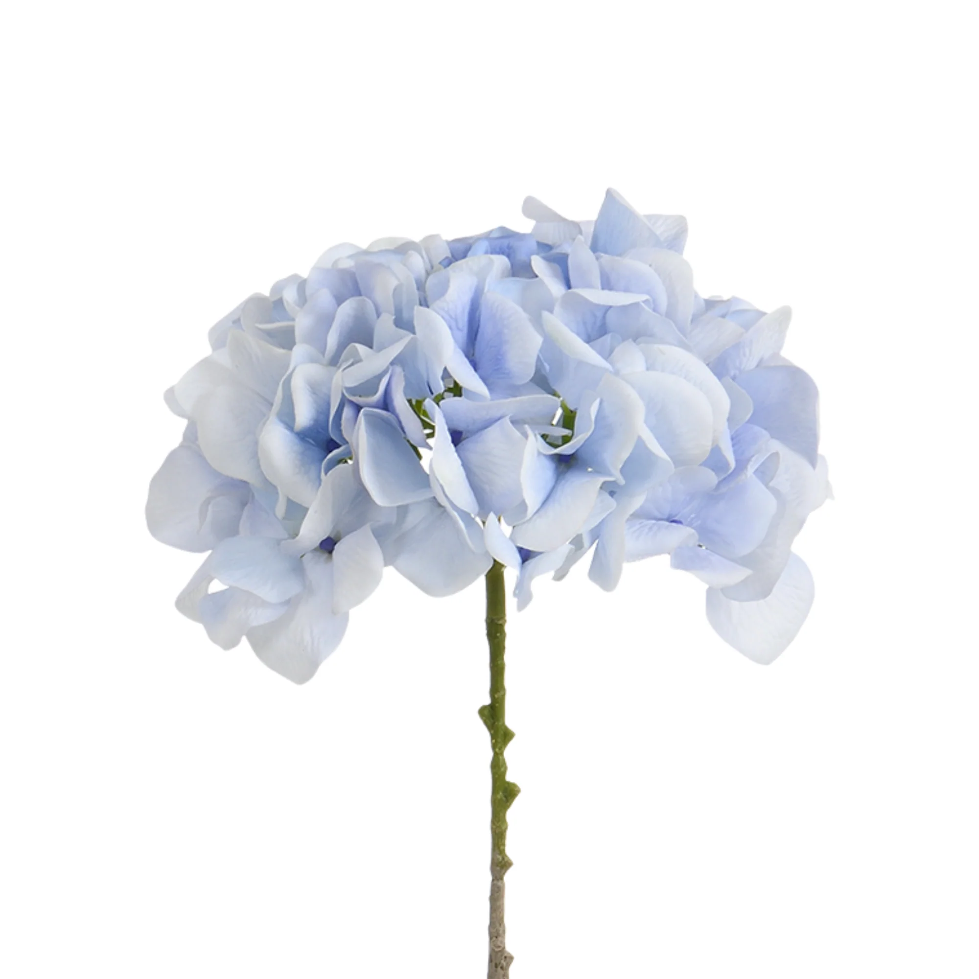 Image du produit 35