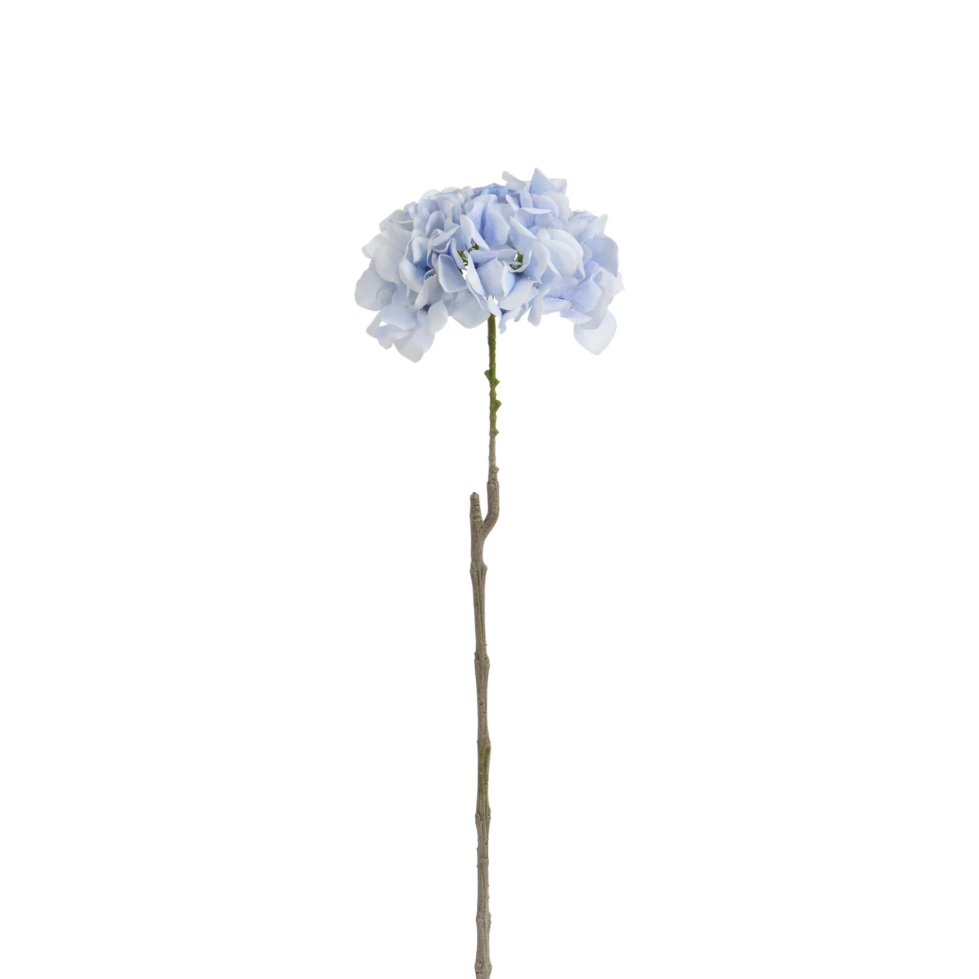 Image du produit 38