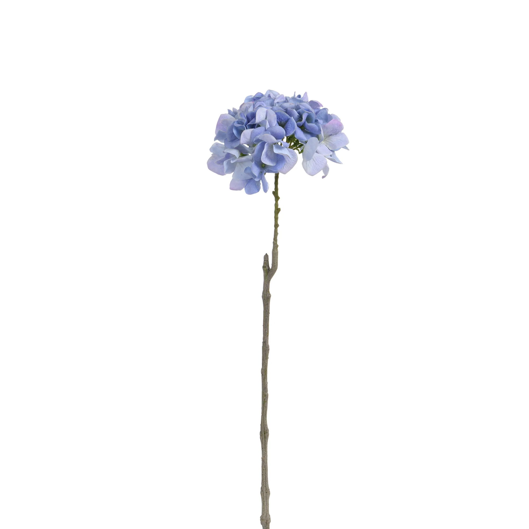Image du produit 42
