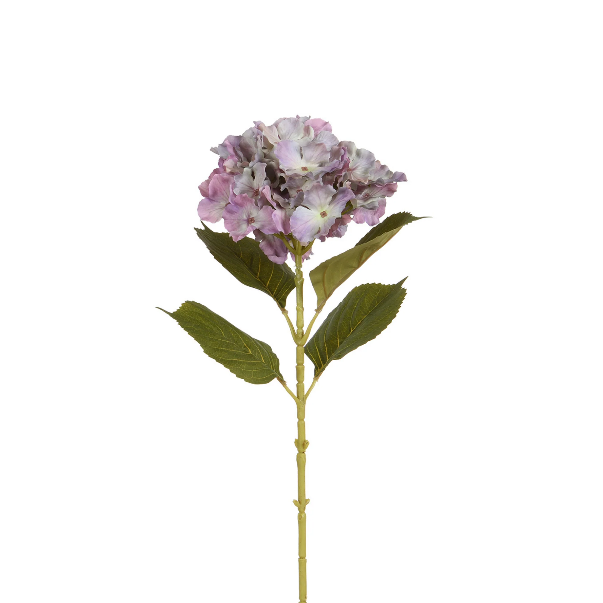 Image du produit 13