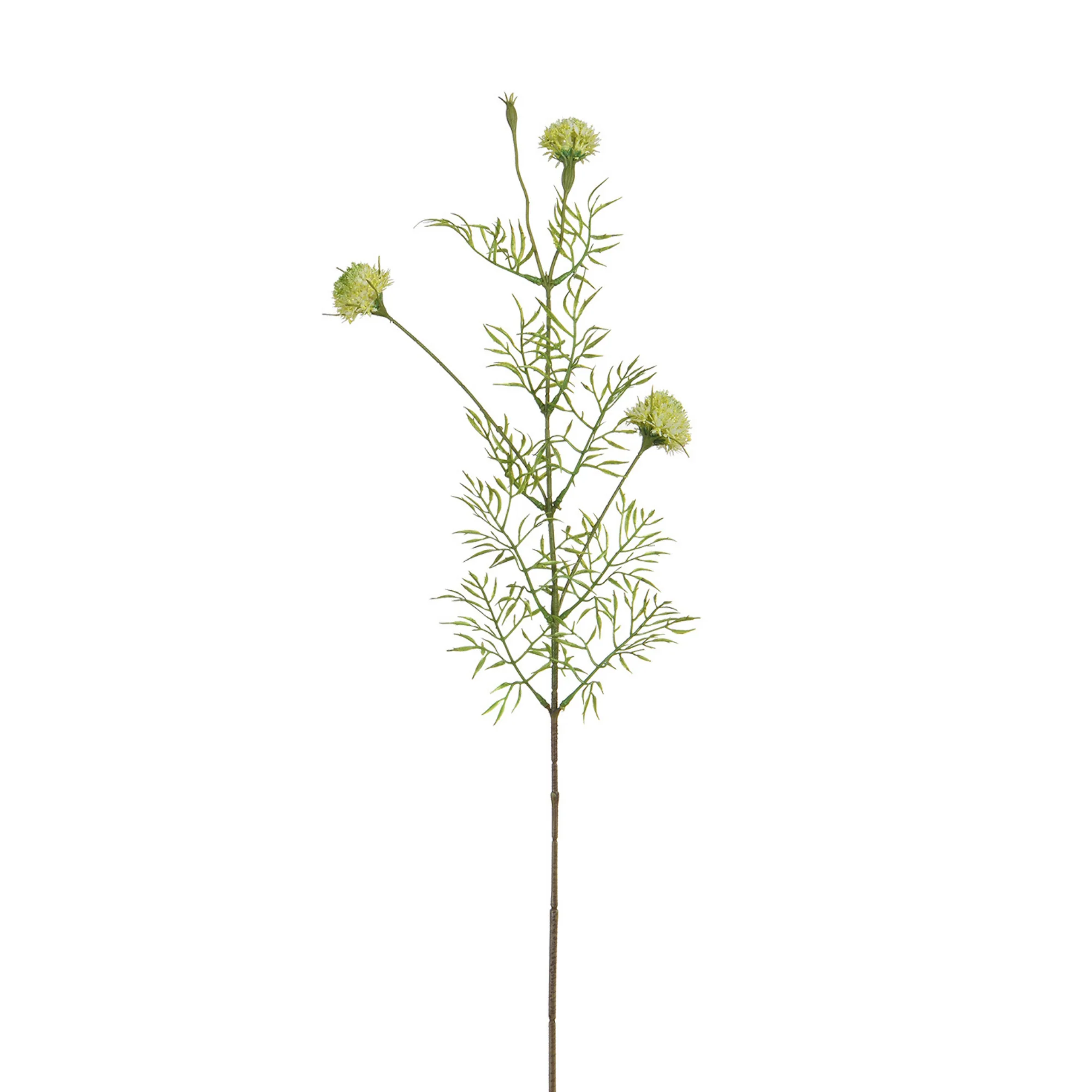 Image du produit 15