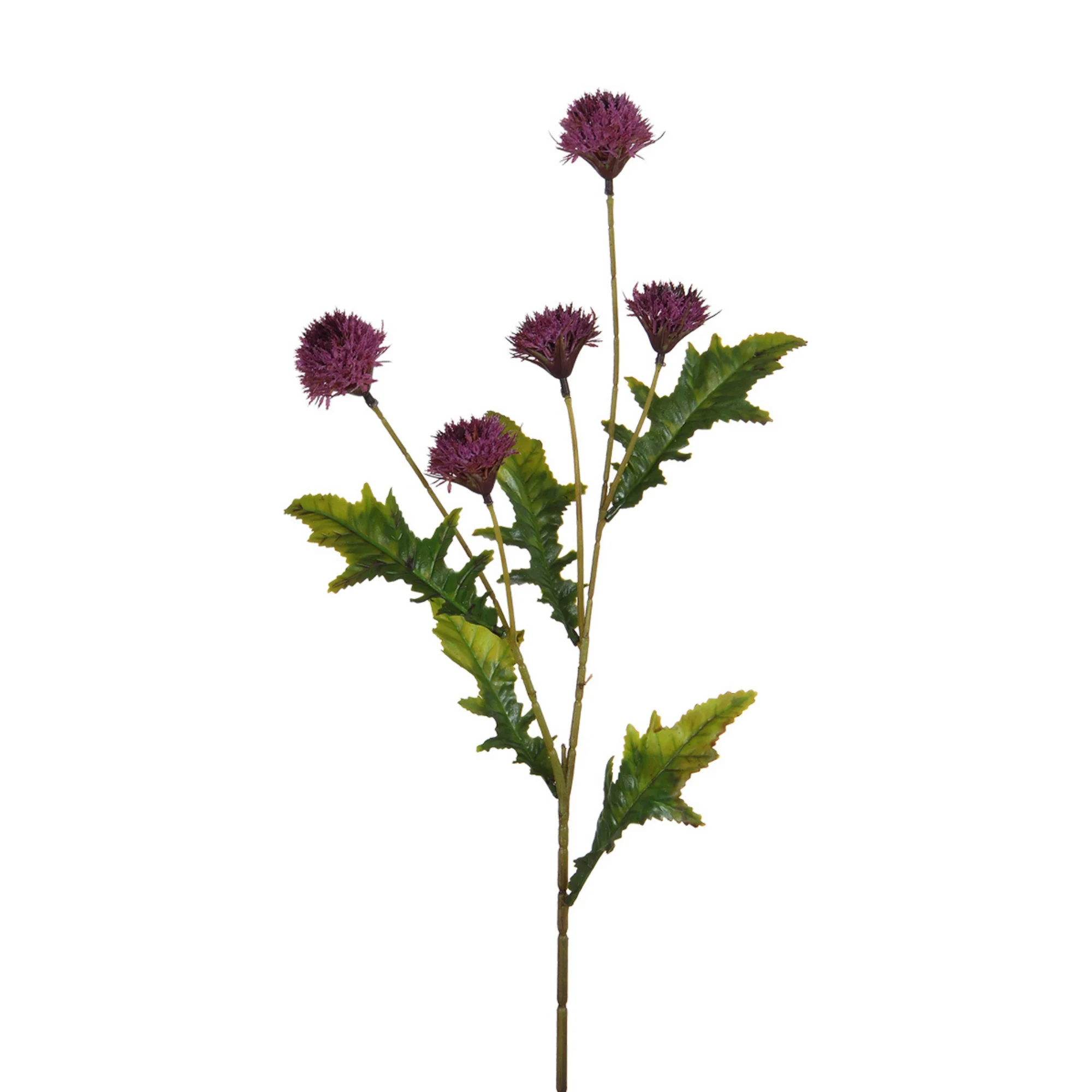 Image du produit 11