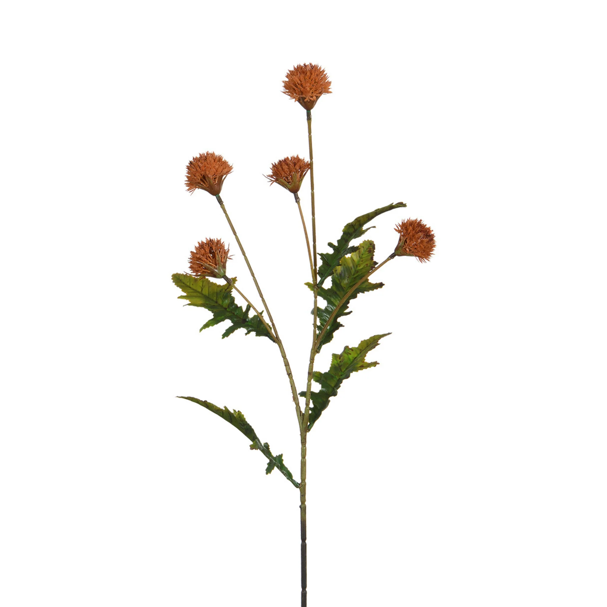 Image du produit 16