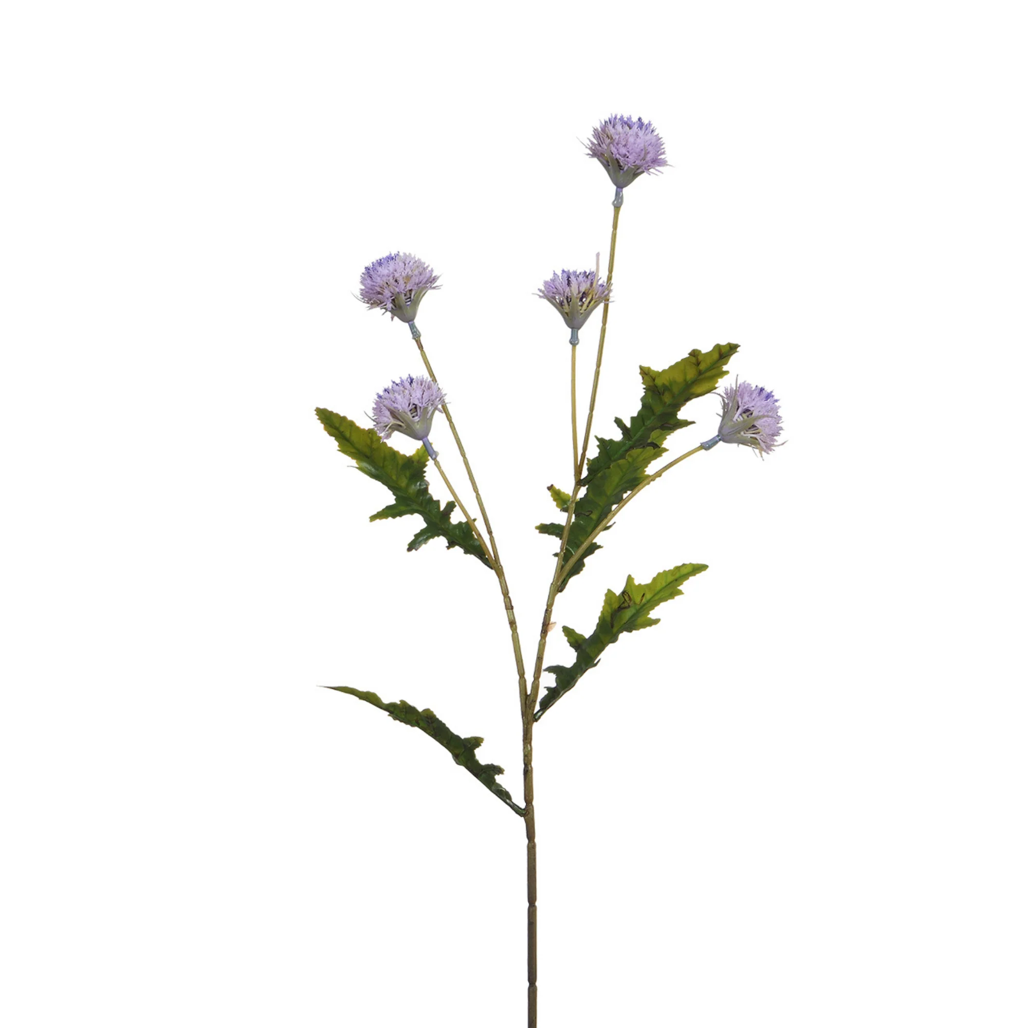Image du produit 19