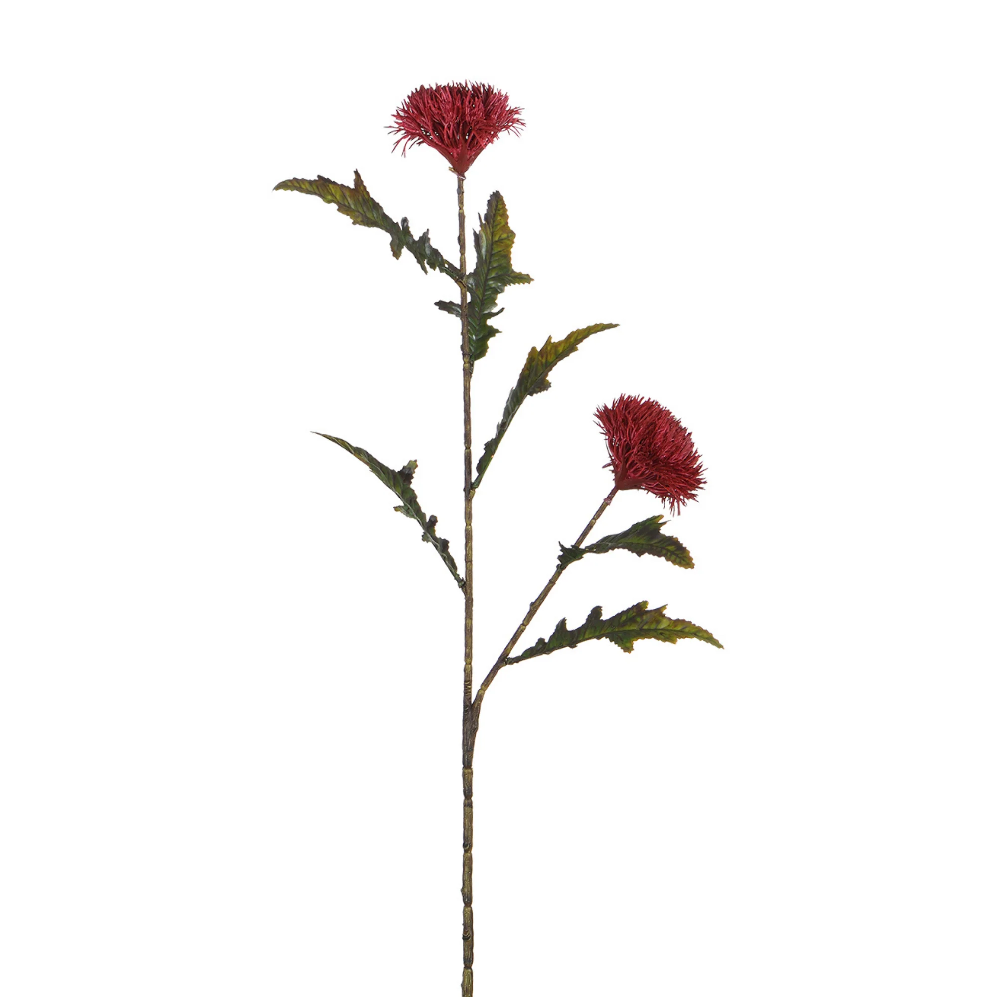 Image du produit 11