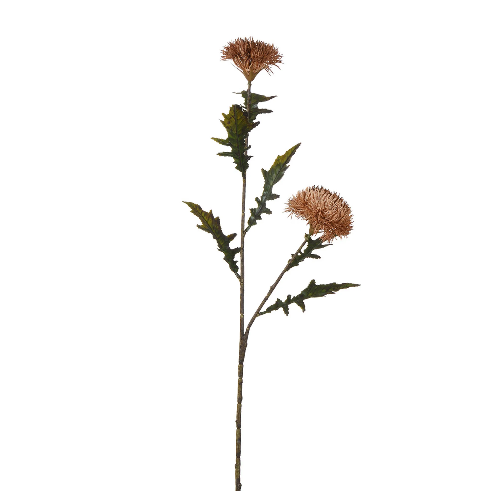 Image du produit 14