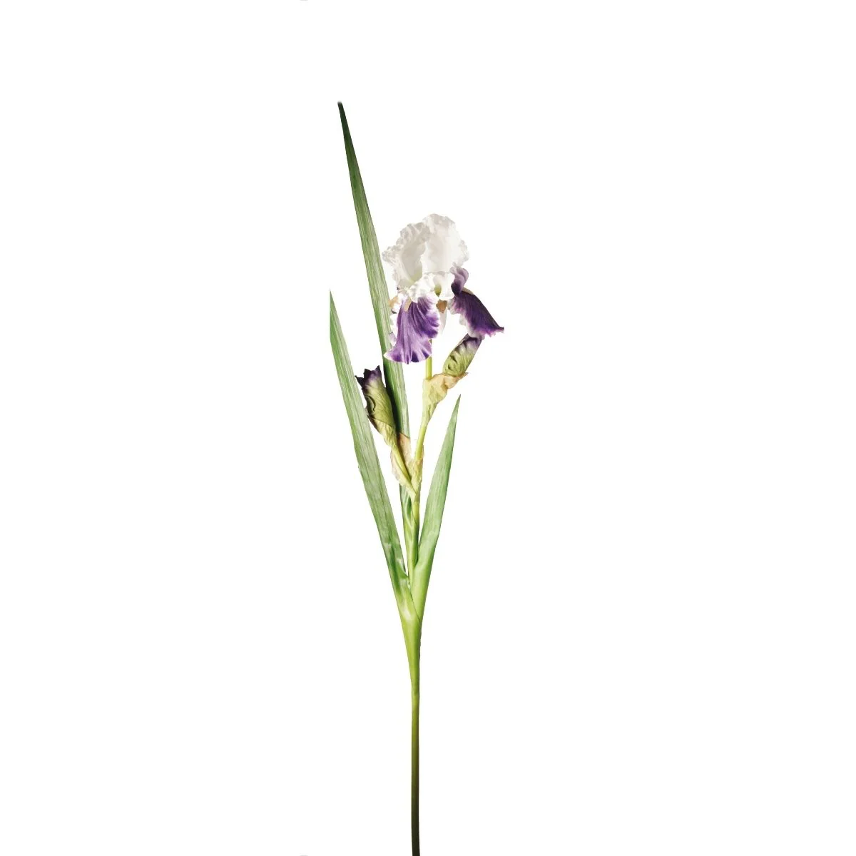 Miniature 1